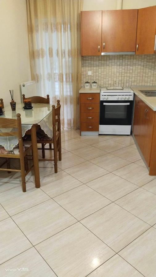 TríkalaΟμορφο Διαμερισμα Στο Κεντρο Της Πολης Με Παρκινアパートメント エクステリア 写真