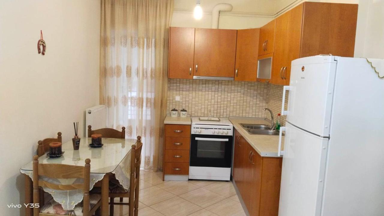 TríkalaΟμορφο Διαμερισμα Στο Κεντρο Της Πολης Με Παρκινアパートメント エクステリア 写真